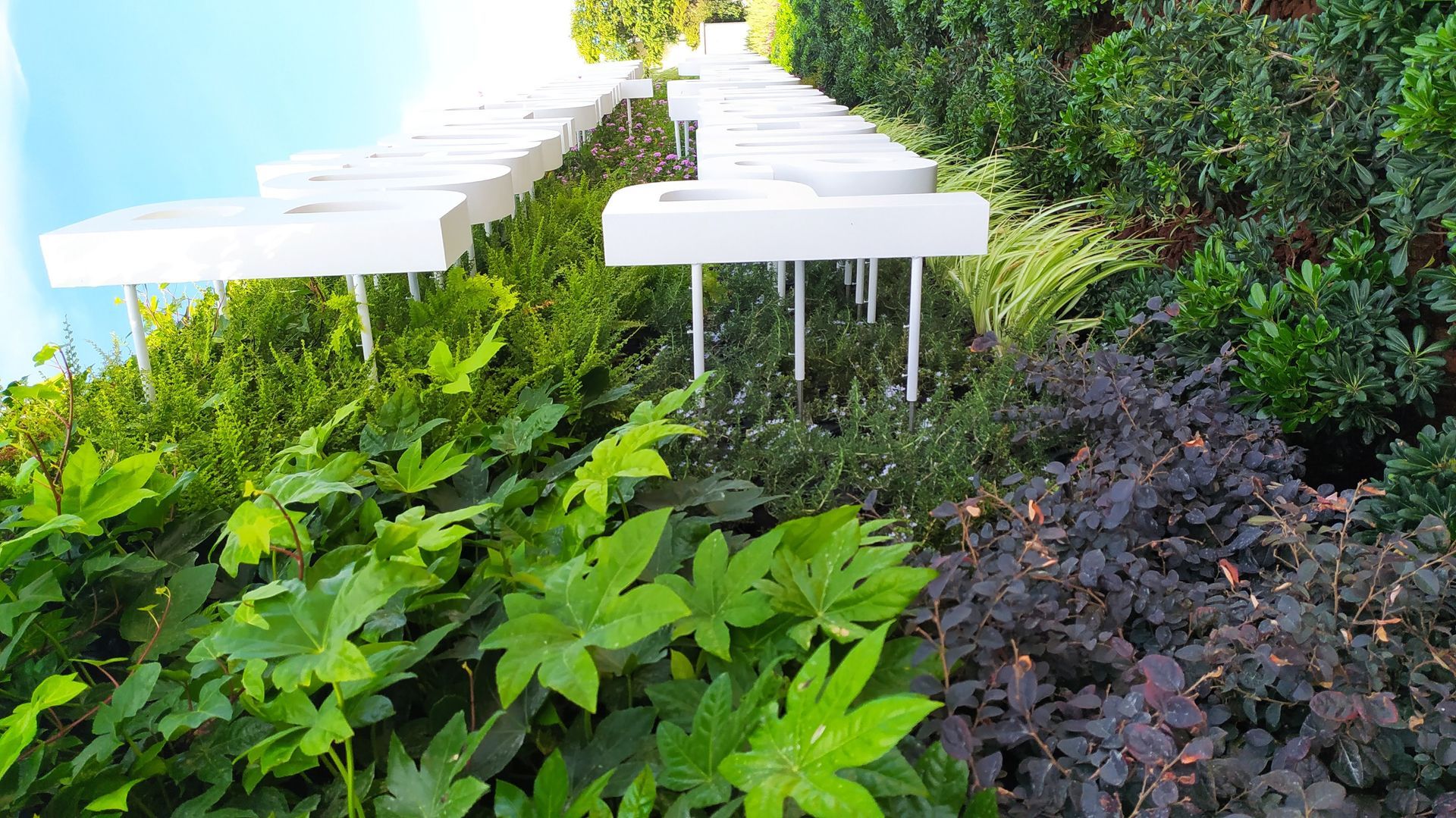 Jardim vertical WallGreen - Champalimaud, Lisboa