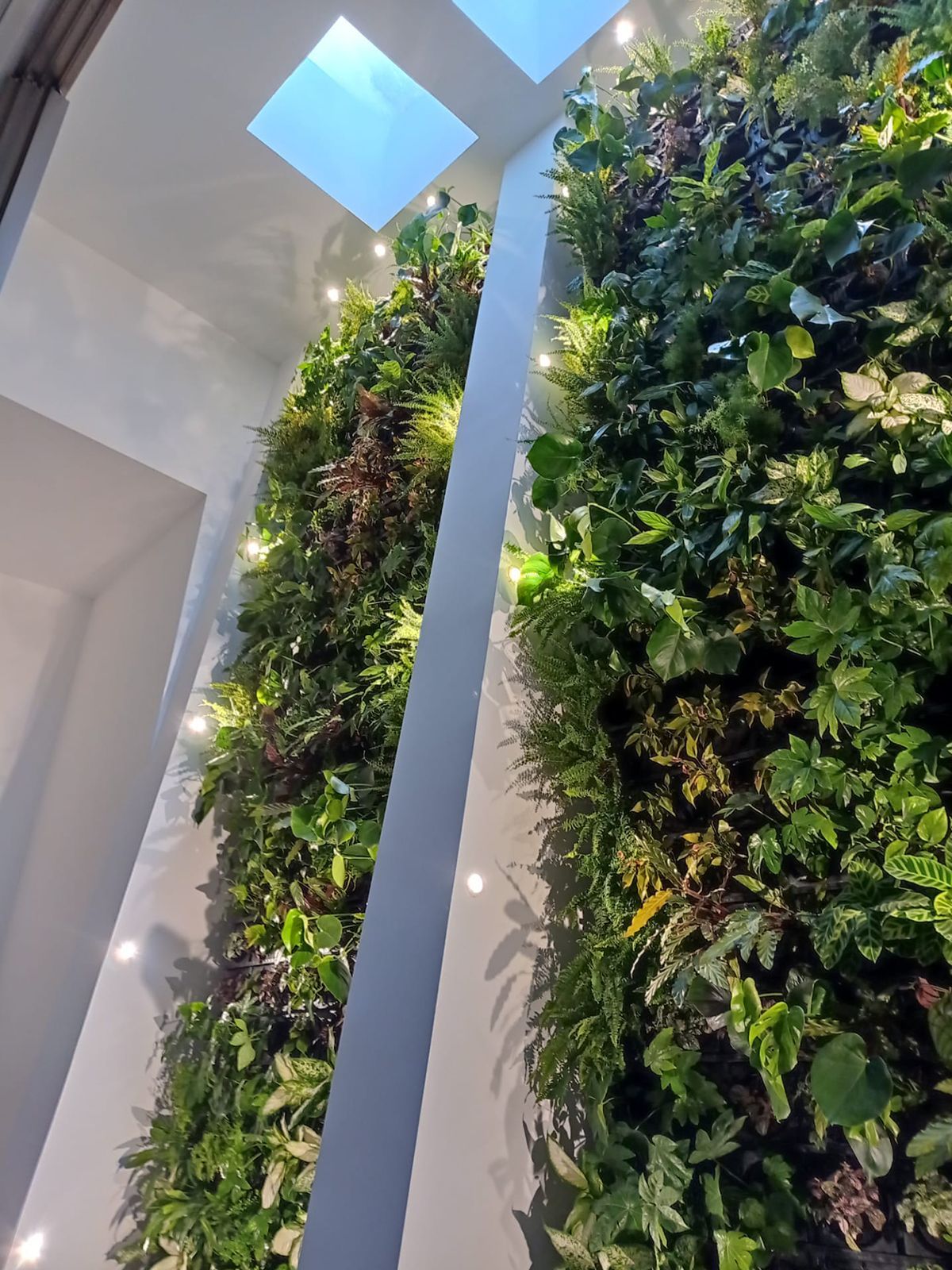 Jardim vertical WallGreen - Moradia particular, Portugal