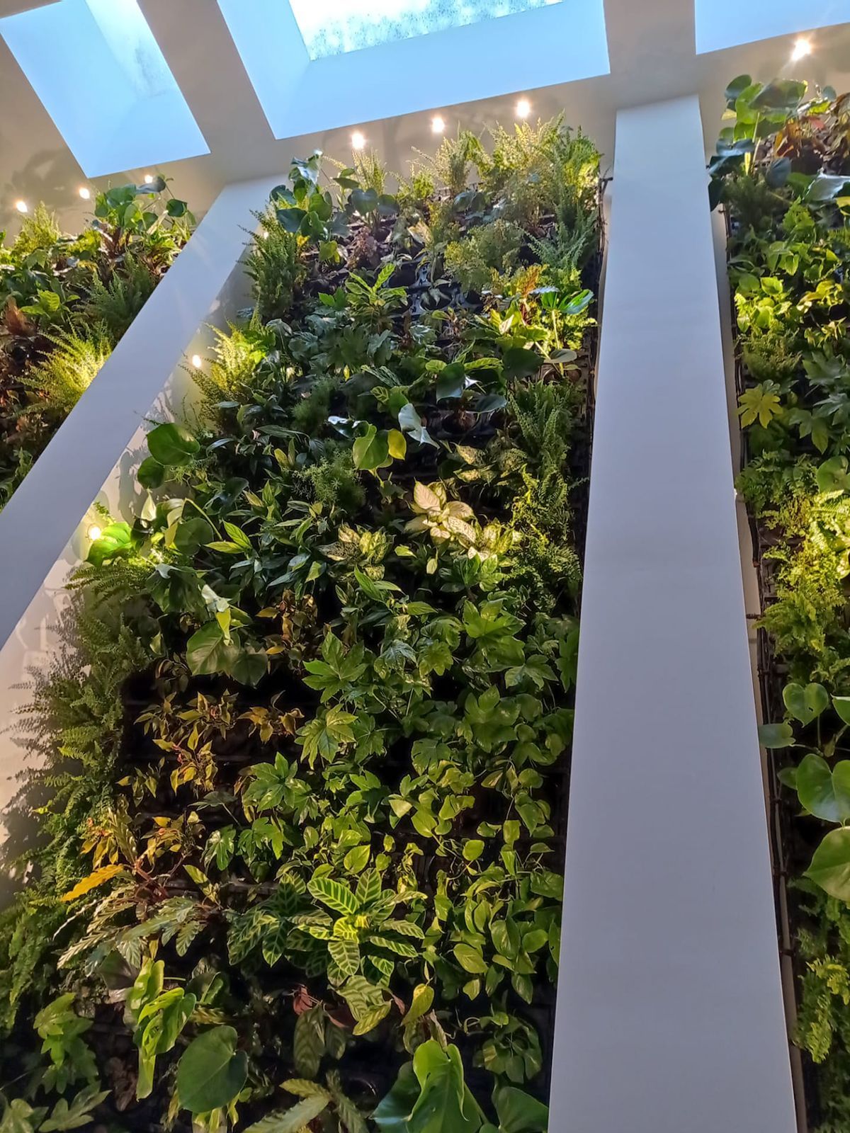 Jardim vertical WallGreen - Moradia particular, Portugal