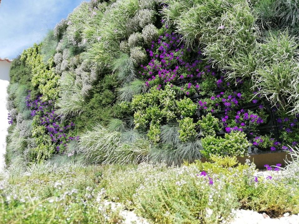 Jardim vertical WallGreen - Moura Suites Hotel, Porto