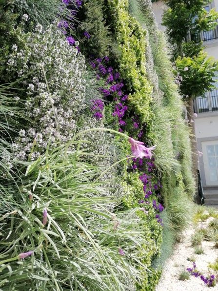 Jardim vertical WallGreen - Moura Suites Hotel, Porto