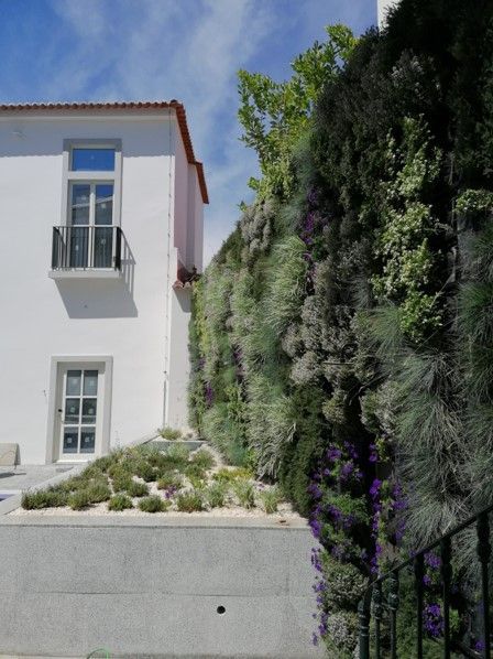 Jardim vertical WallGreen - Moura Suites Hotel, Porto