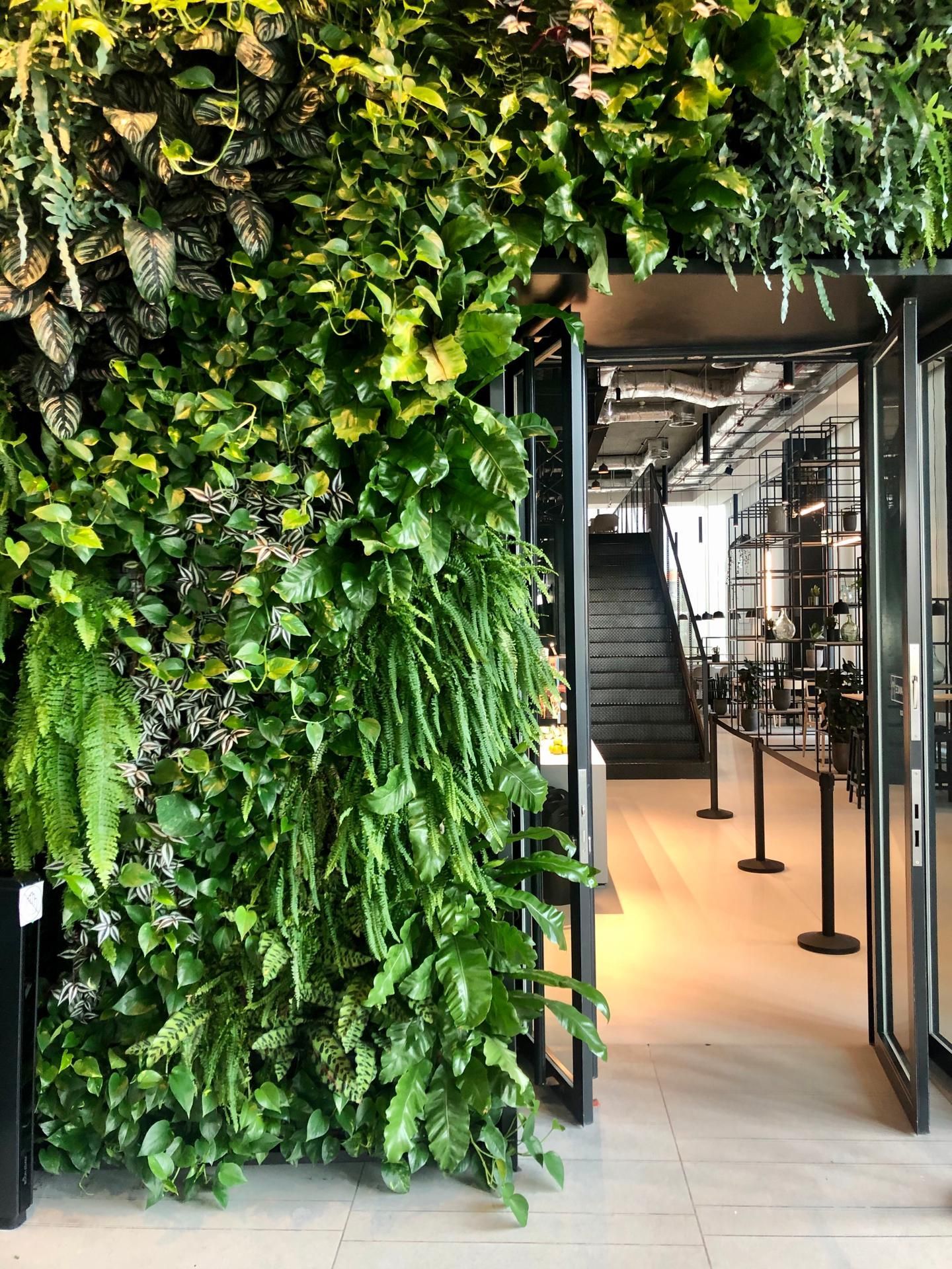 Jardim vertical WallGreen - Porto Office Park