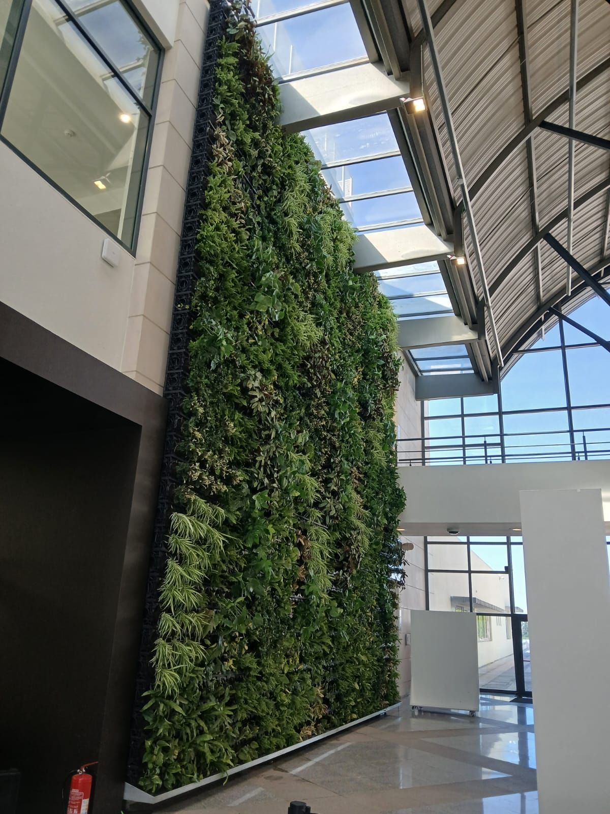 Jardim vertical WallGreen - Tagus Park, Oeiras