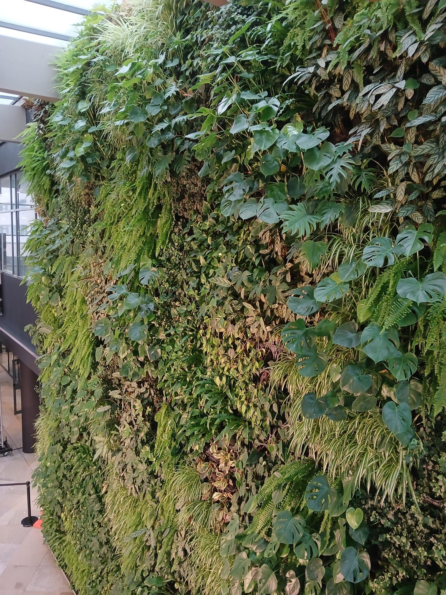 Jardim vertical WallGreen - Tagus Park, Oeiras