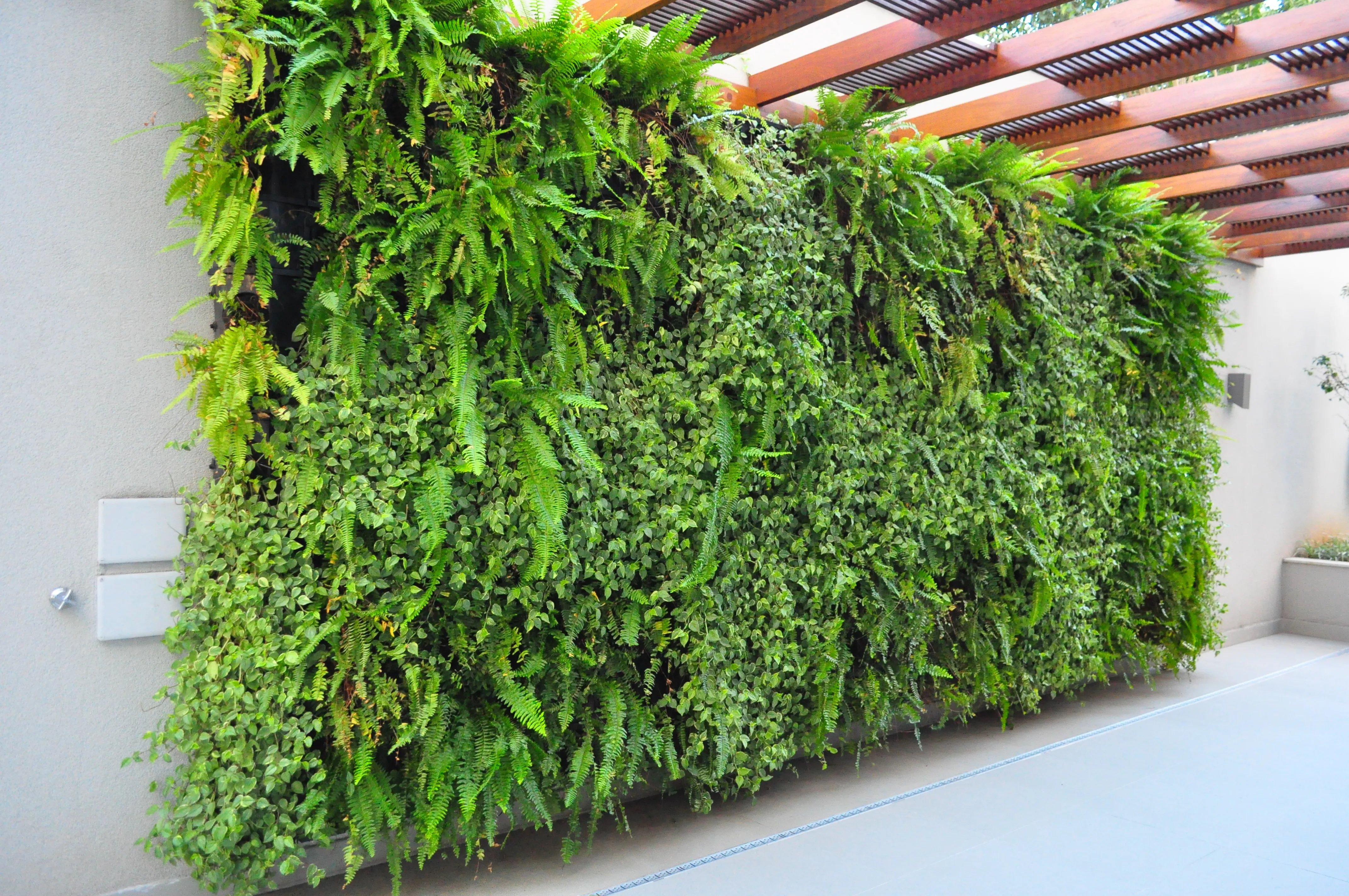 Jardim vertical WallGreen Lisboa Portugal - projeto internacional