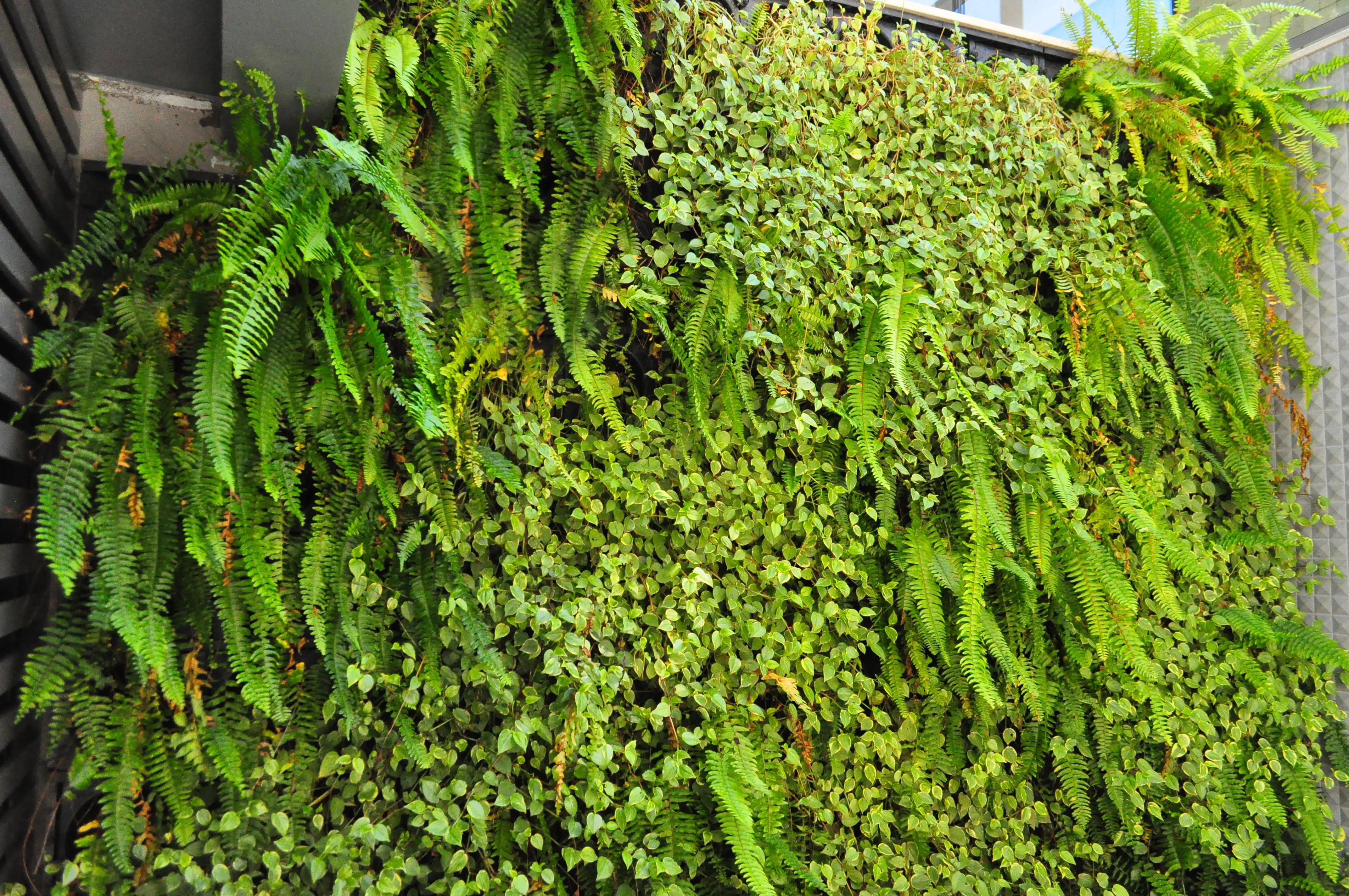 Jardim vertical WallGreen Lisboa Portugal - parede verde