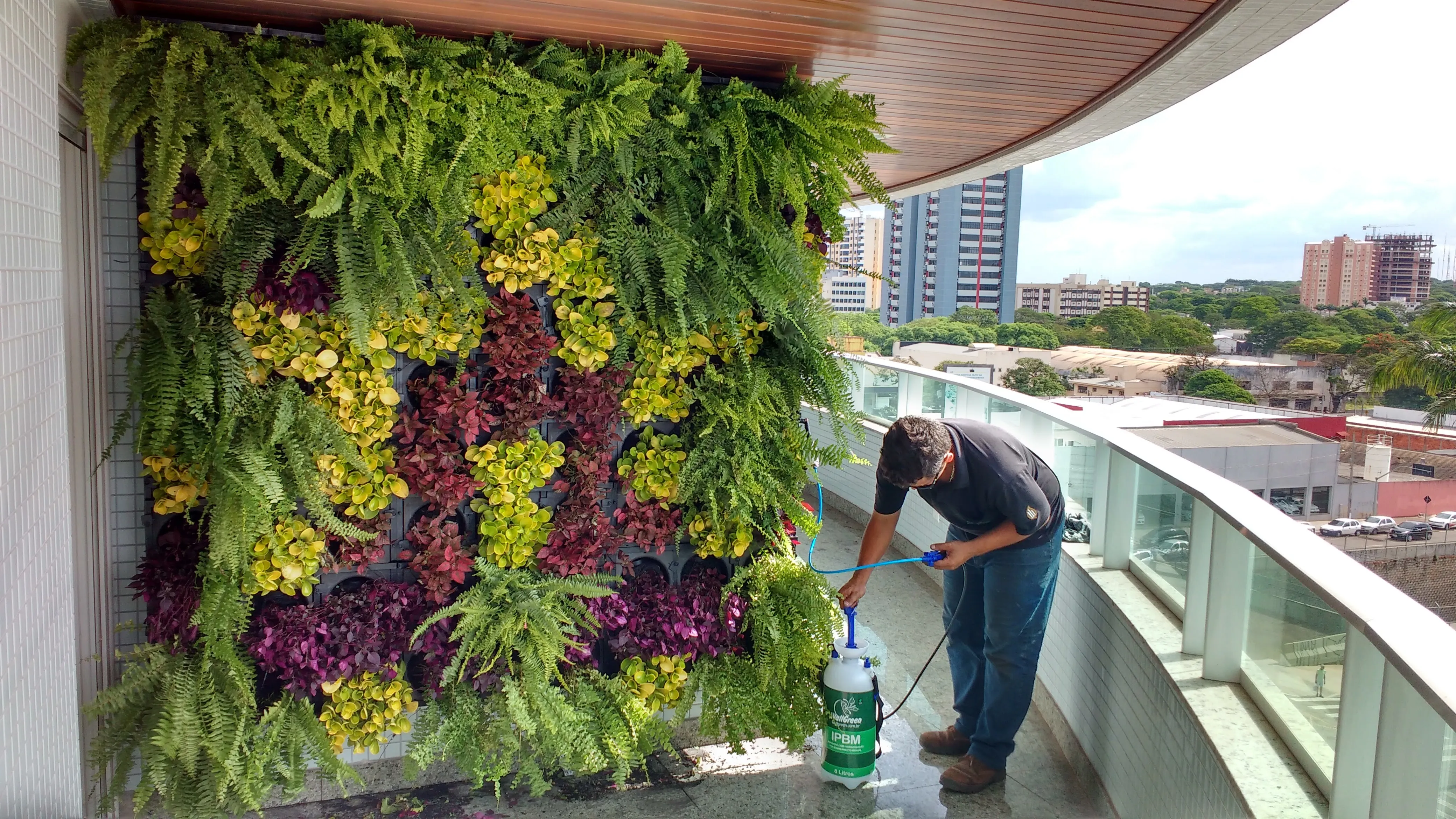 Jardim vertical WallGreen - Obras Brasil
