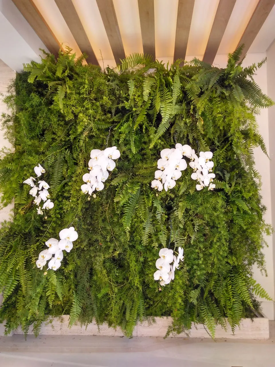 Jardim vertical WallGreen - Obras Brasil