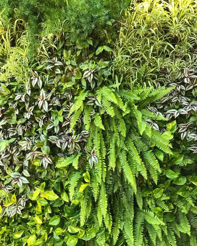 Jardim vertical WallGreen - Obras Brasil