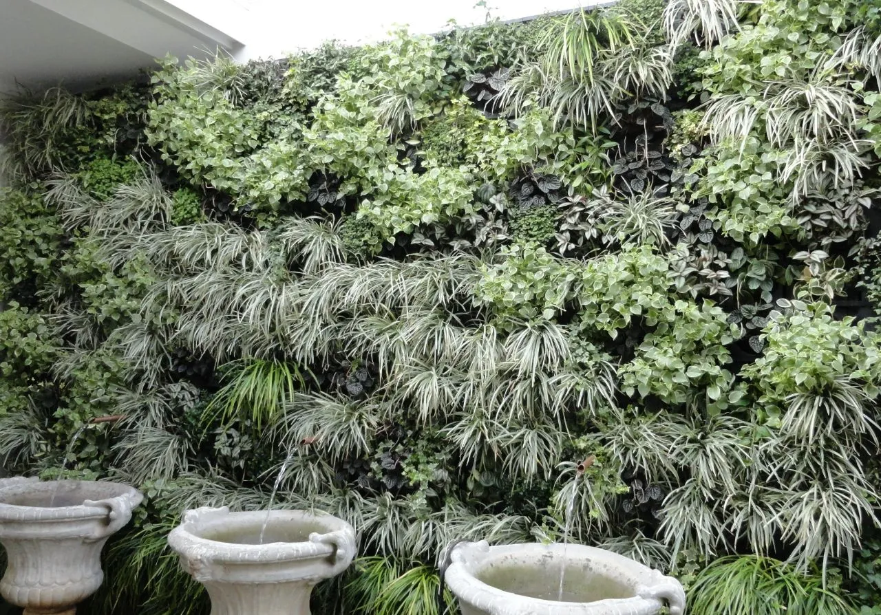 Jardim vertical WallGreen - Obras Brasil