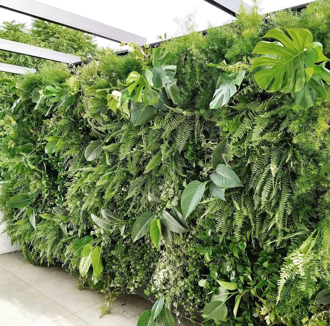 Jardim vertical WallGreen - Obras Brasil