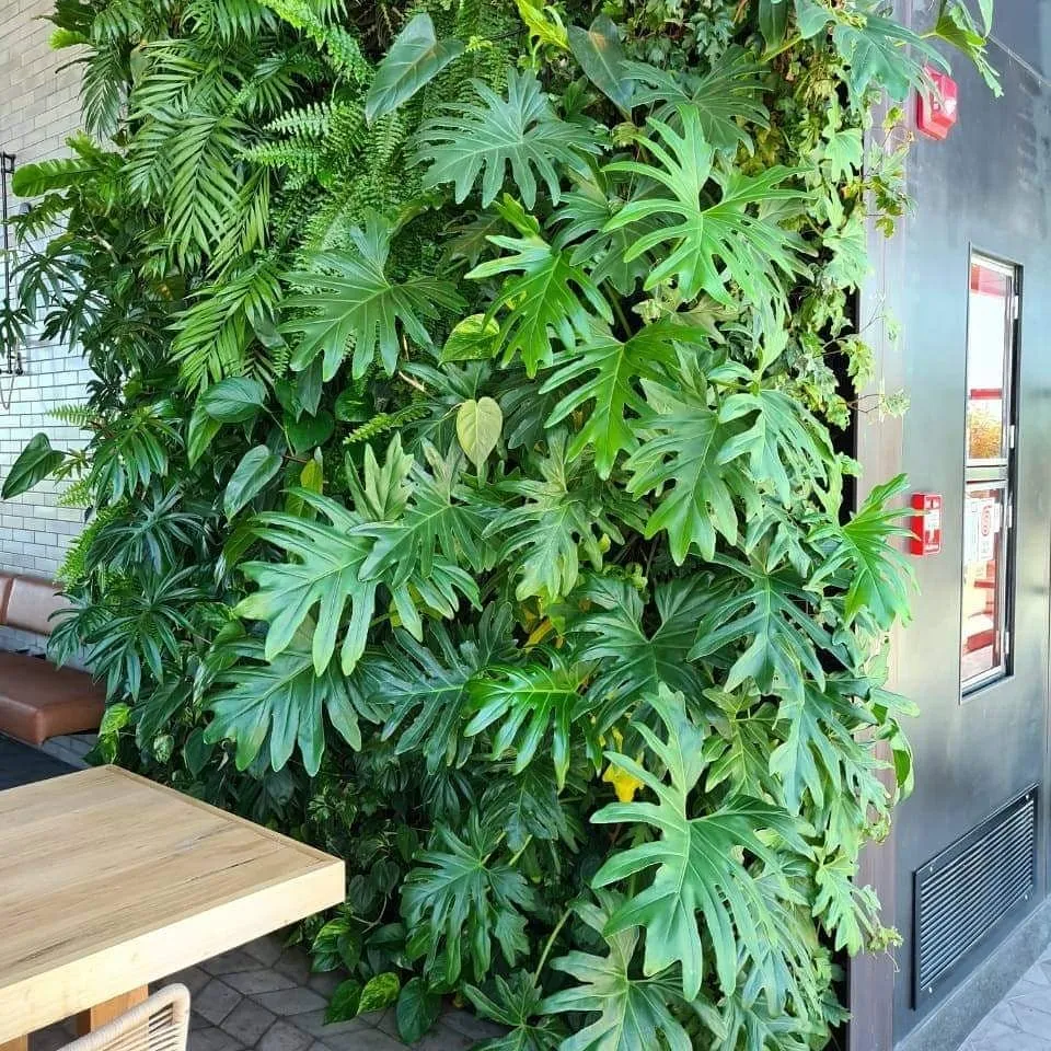 Jardim vertical WallGreen - Obras Brasil