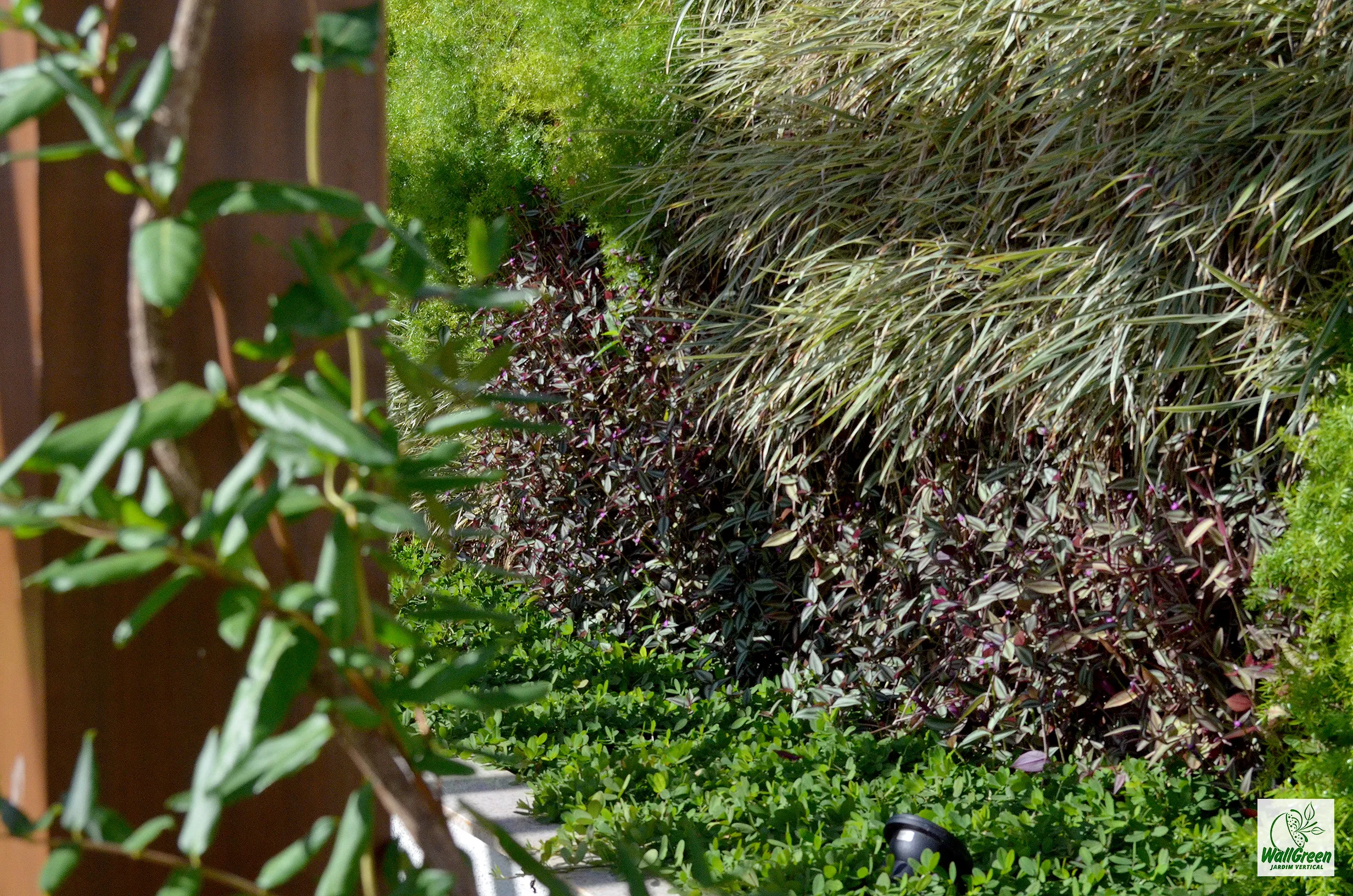 Jardim vertical WallGreen - Obras Brasil