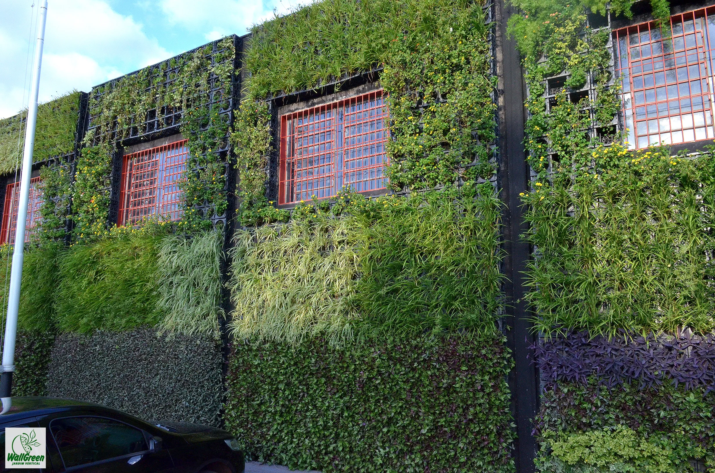 Jardim vertical WallGreen - Obras Brasil