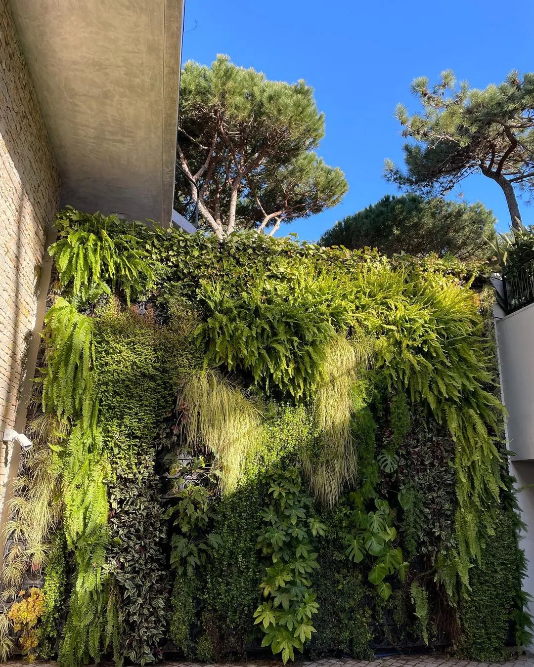 Jardim vertical WallGreen - Obras Brasil