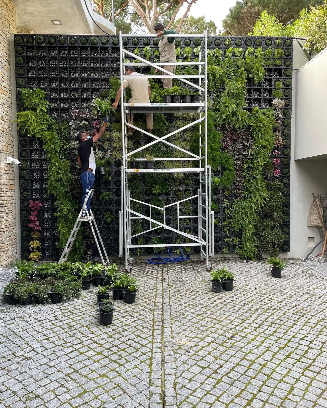Jardim vertical WallGreen - Instalação e montagem