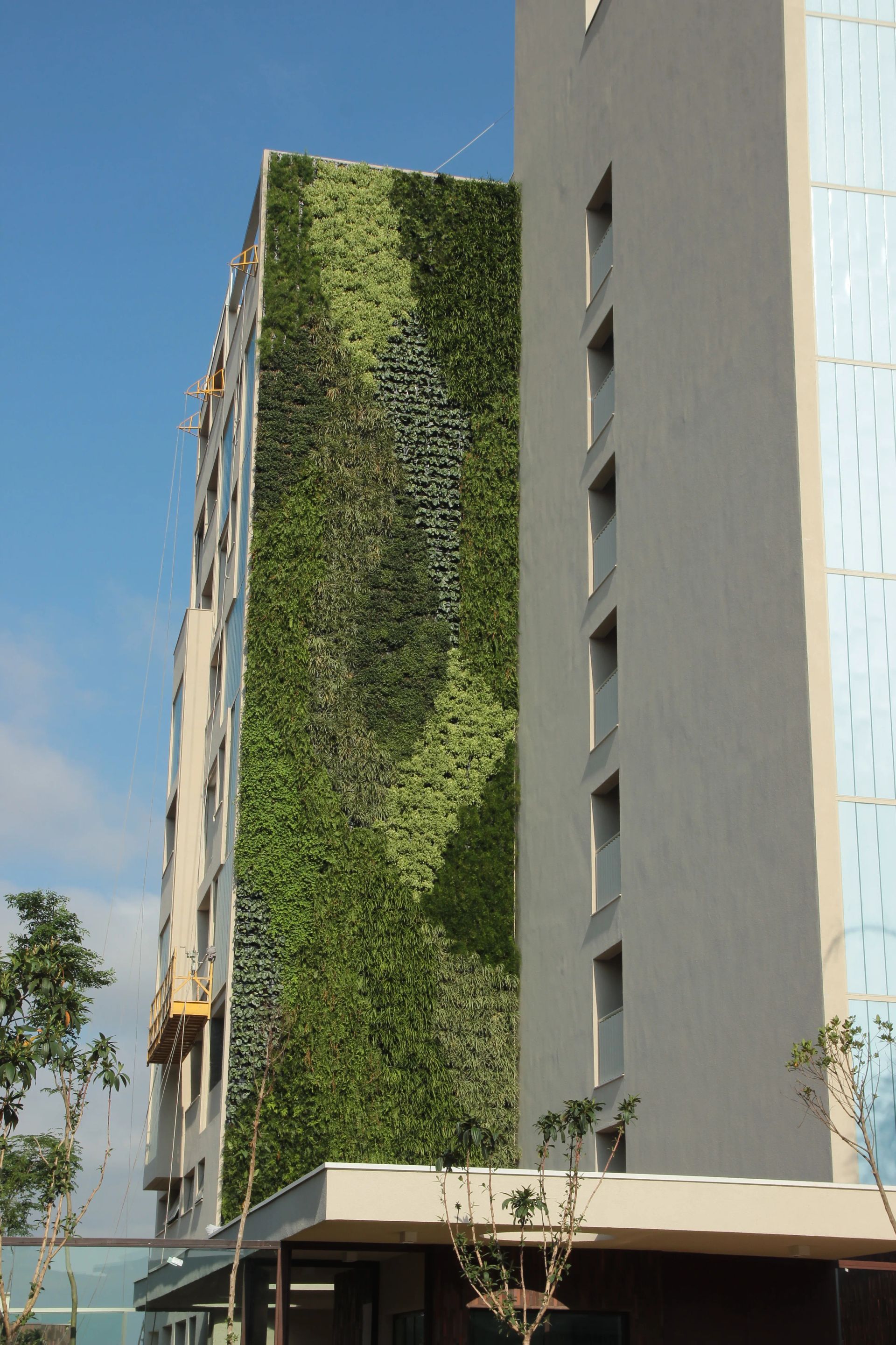 Jardim vertical WallGreen - São Paulo
